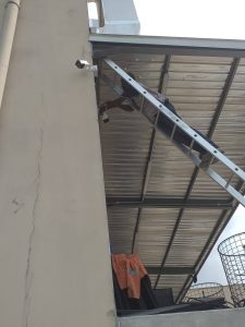 WhatsApp Image 2026-01-12 at 9.43.23 AM (2)